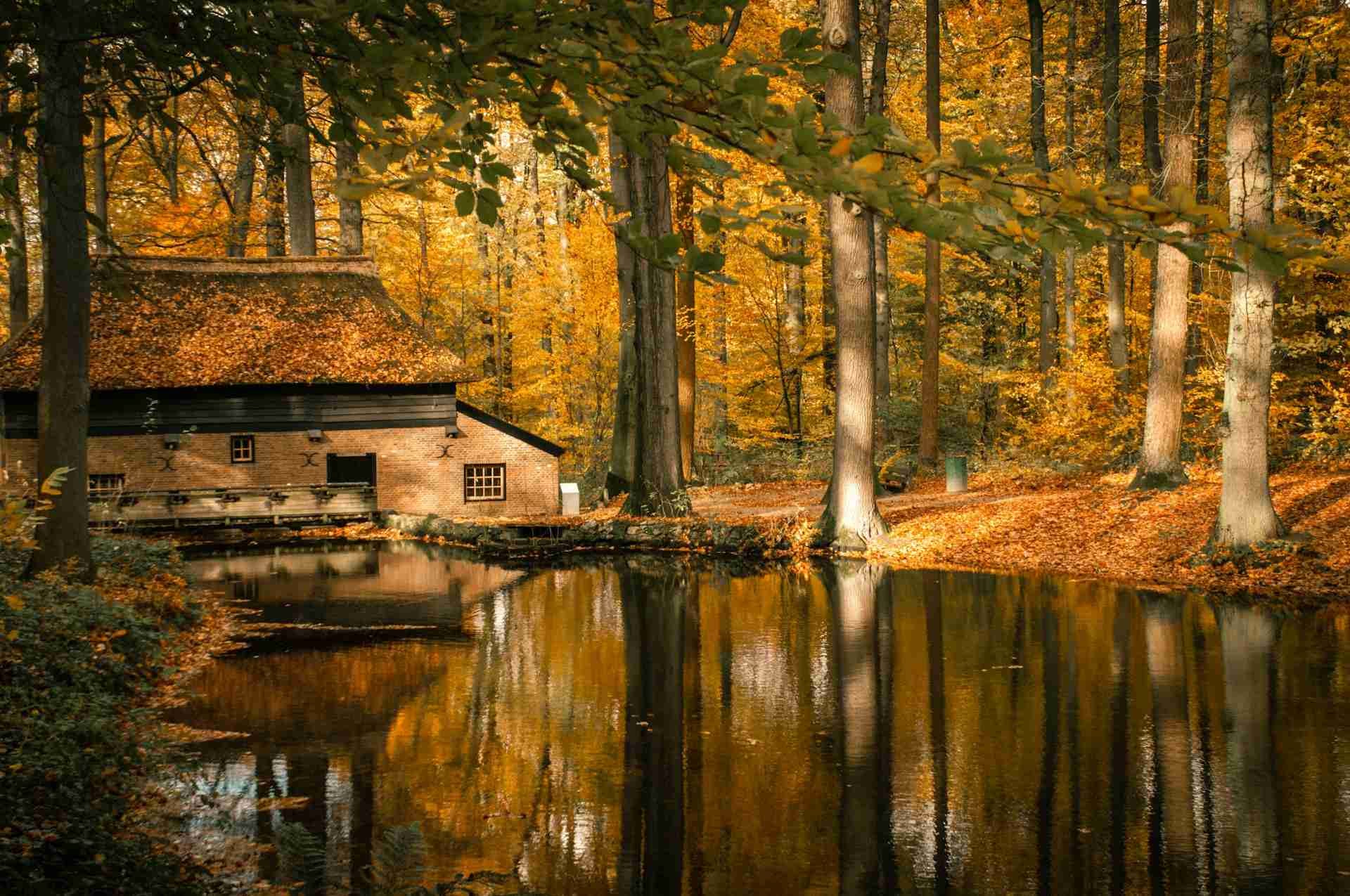 Nederlands Openluchtmuseum