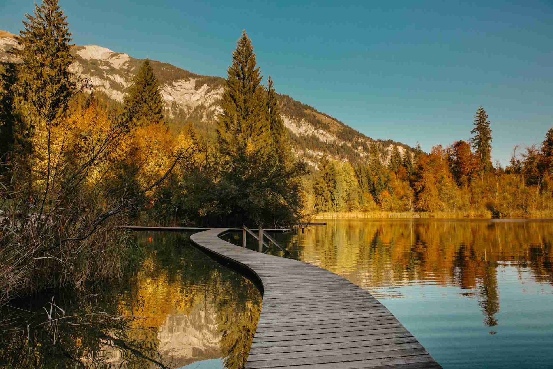 Crestasee (Films)