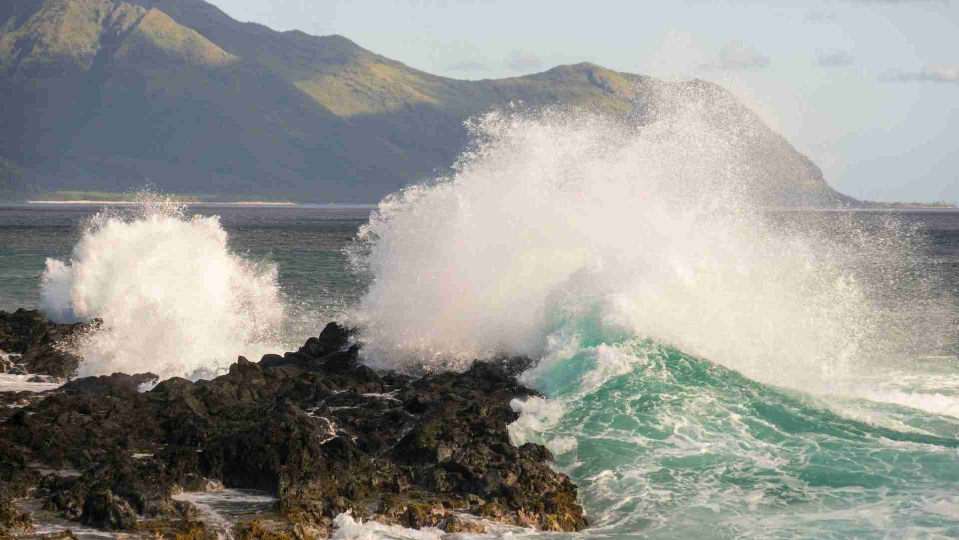 Ka‘Ena Point Natural Area Reserve
