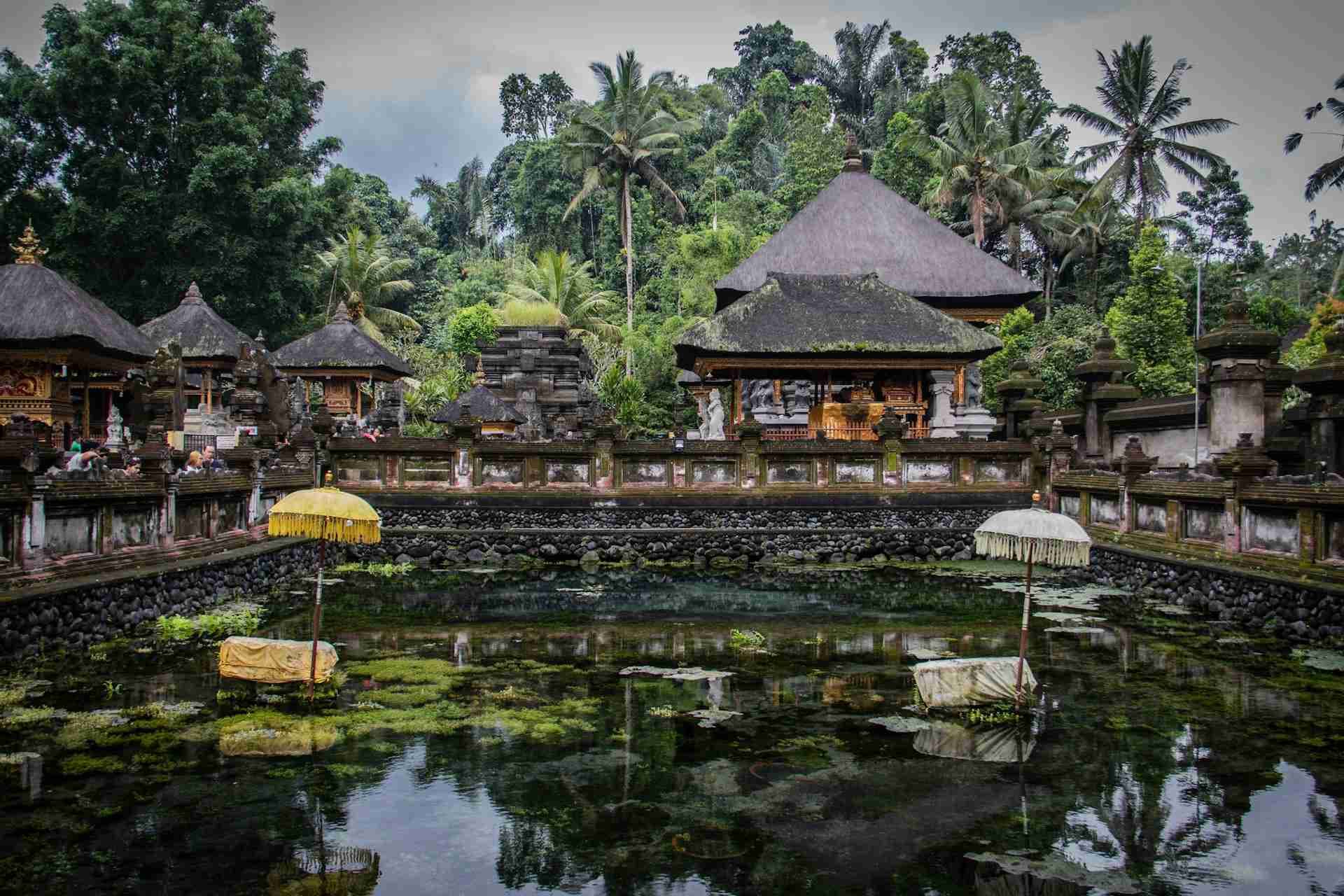 Pura Tirta Empul by Nick Fewings
