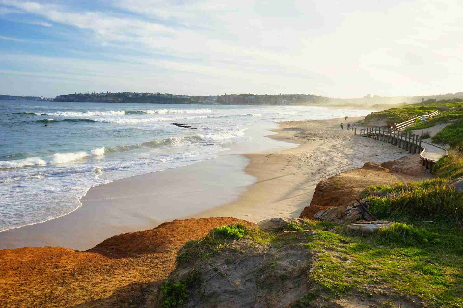 Long Reef Beach Northern Beaches