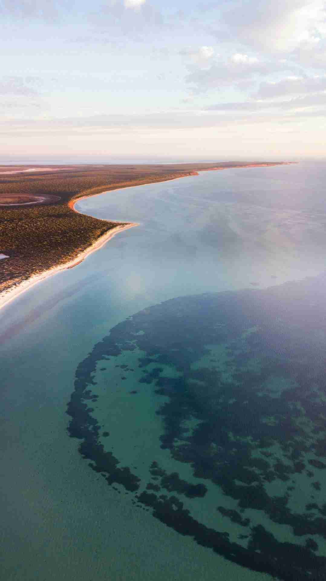 Skipjack Point and Cape Peron