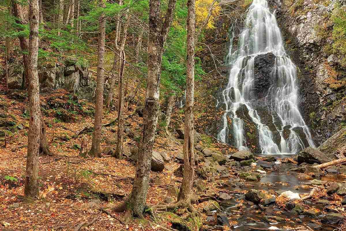 Hays Falls