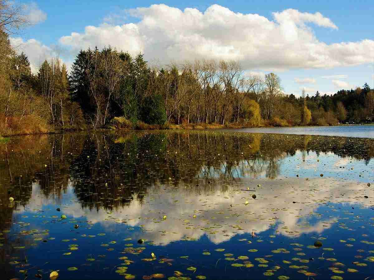 Deer Lake