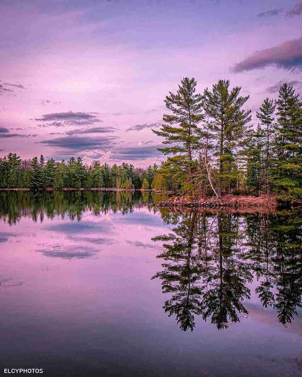 Morris Island Conservation Area