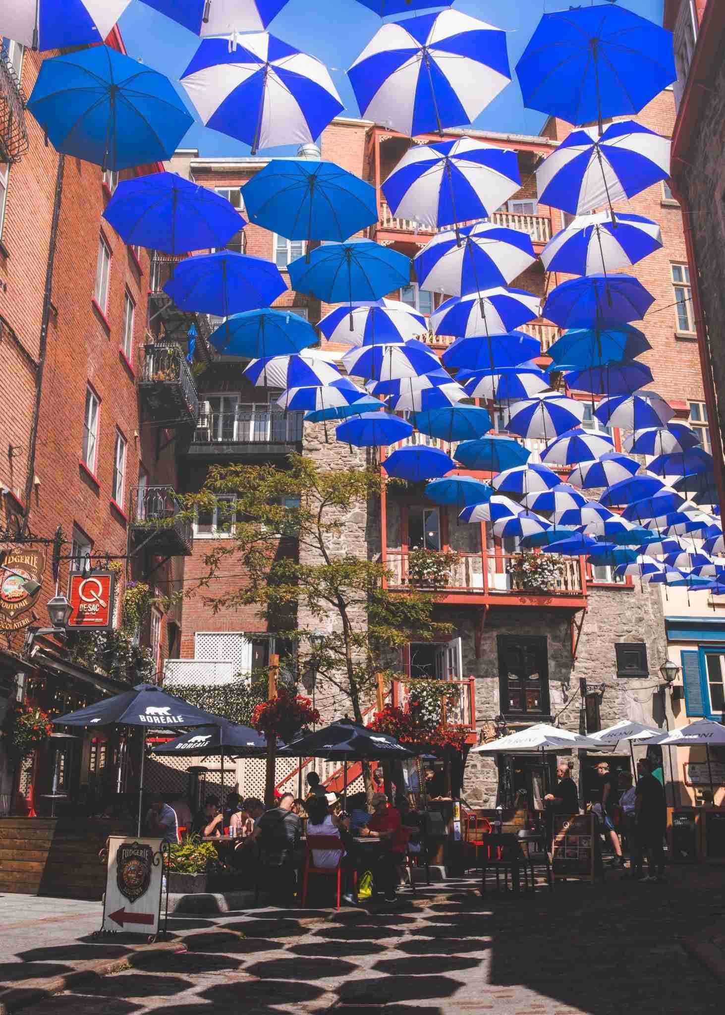 Umbrella Alley