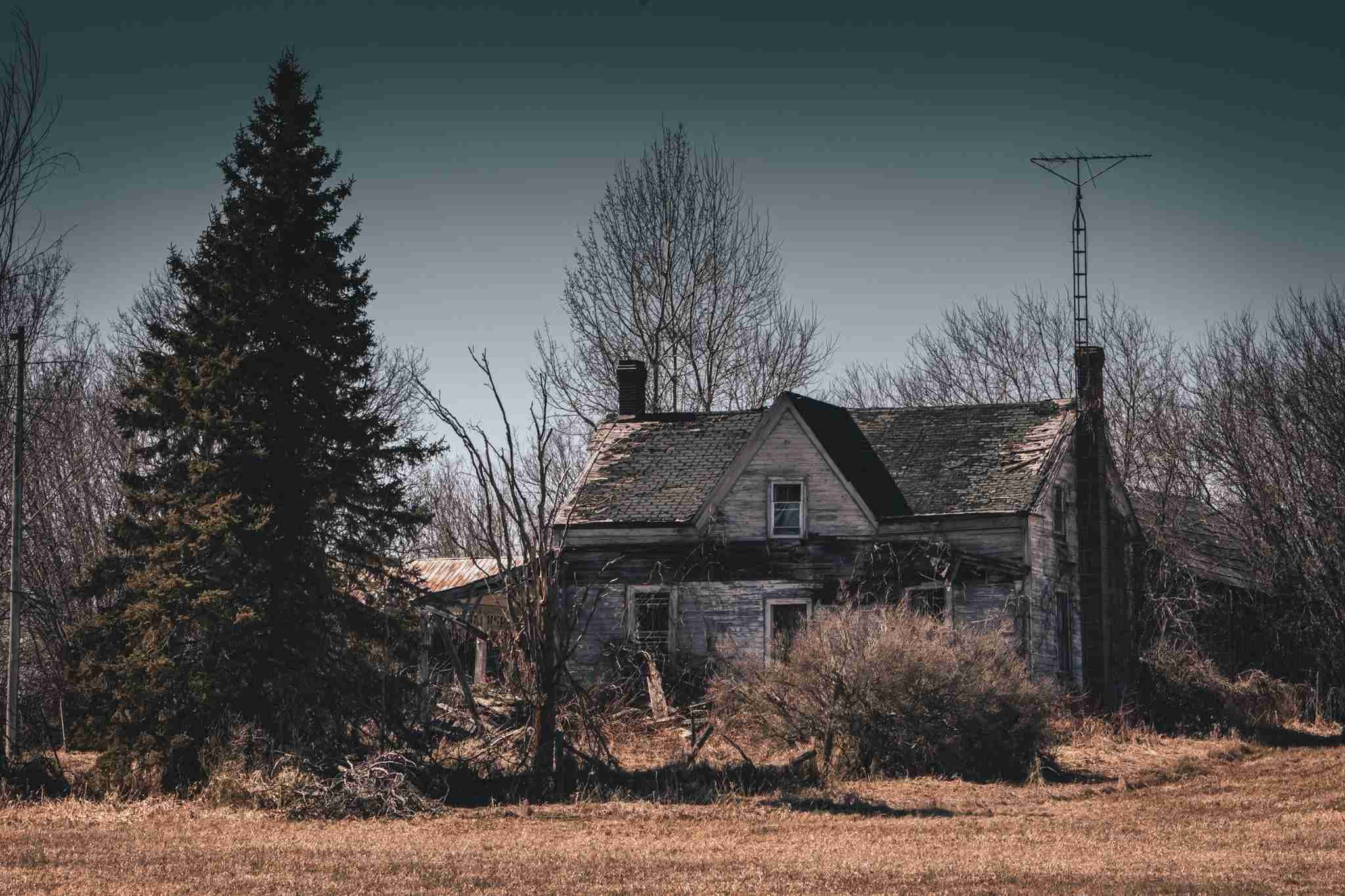 Abandoned Farmstead, North Elmsley