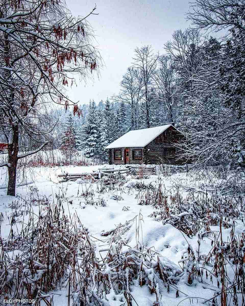 Log Cabin