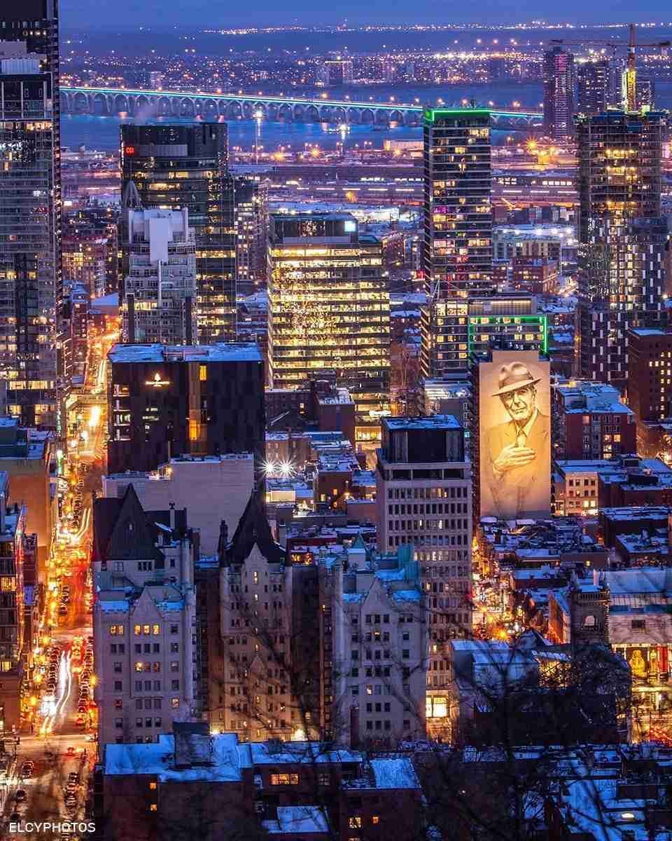 Mount Royal View